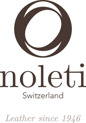 noleti_logo_positif